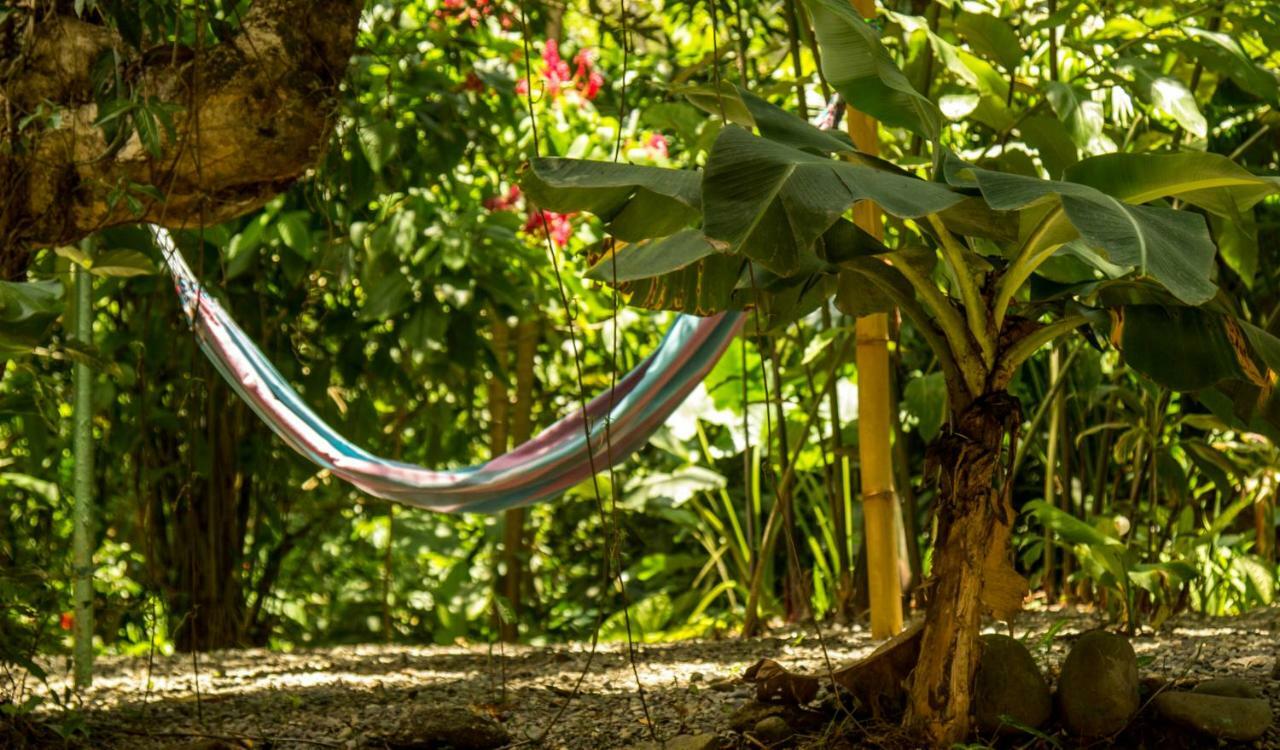 Casa Tucanes Manuel Antonio Dış mekan fotoğraf